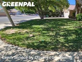 Lawn Maintenance nearby Palmdale, CA, 