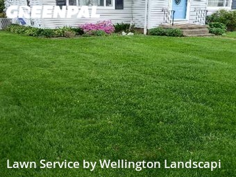 Lawn Service nearby Erie, PA, 