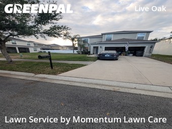 Lawn Maintenance nearby Tampa, FL, 