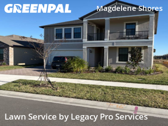 Lawn Care nearby Land O'lakes, FL, 