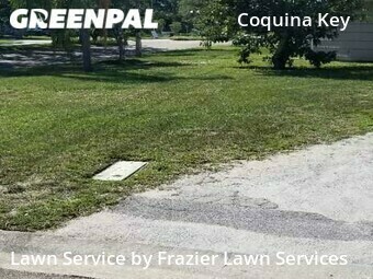 Lawn Care nearby St. Petersburg, FL, 