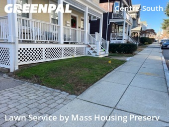 Grass Cut nearby Boston, MA, 