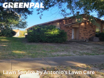 Lawn Cuttingin Garland,75043,Lawn Cutting by Antonio's Lawn Care, work completed in Feb , 2026