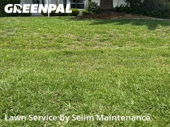 Grass Cut nearby Palm Coast, FL, 