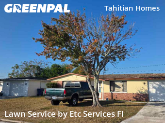 Lawn Management in Holiday, 34691, Yard Care by Etc Services Fl, work completed in Dec , 2025