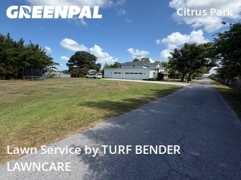 Lawn mowed in Westchase, 33626