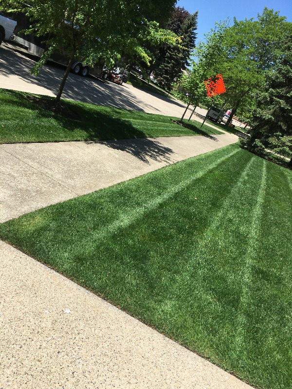 Yard mowing company in Macon, GA, 31210