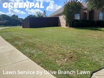 Lawn Care Servicein Keller,76248,Grass Cut by Olive Branch Lawn, work completed in Dec , 2025