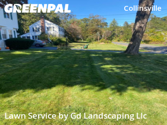 Yard Care Services in Canton, 6019, Turf Services by Gd Landscaping Llc, work completed in Nov , 2025