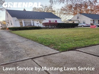 Lawn Cut nearby Warren, OH, 