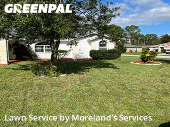 Lawn Cut nearby Palm Coast, FL, 