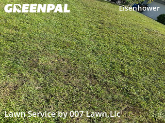 Lawn Mowing nearby Lehigh Acres, FL, 