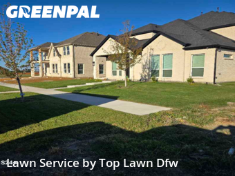 Landscaping Cleanup In Frisco,75036,Landscaping Maintenance by Top Lawn Dfw, work completed in Nov , 2025