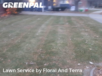 Lawn Maintenance nearby St. Clair Shores, MI, 