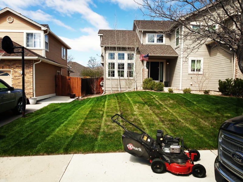 lawn-care-services-in-Grand Junction-CO