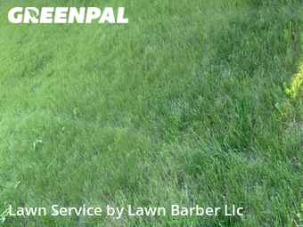 Lawn Maintenance nearby Timnath, CO, 