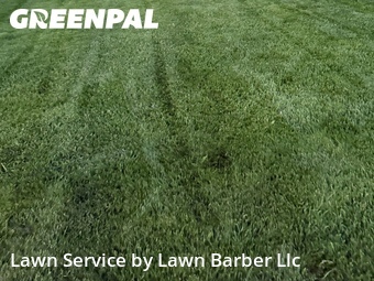 Grass Cut nearby Greeley, CO, 