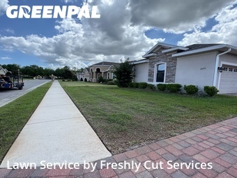 Lawn Mow nearby Lakeland, FL, 