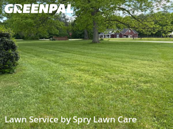 Grass Cut nearby Manchester, TN, 