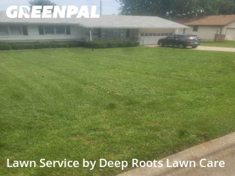 Lawn Mowing Service nearby Springfield, MO, 