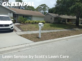 Lawn Mowing nearby Palm Harbor, FL, 