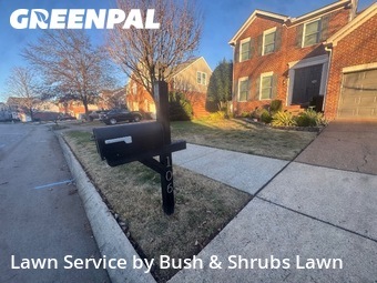 Lawn Maintenancein Franklin,37064,Lawn Mowing by Bush & Shrubs Lawn, work completed in Nov , 2025