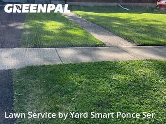 Lawn Maintenance nearby Glen Ellyn, IL, 