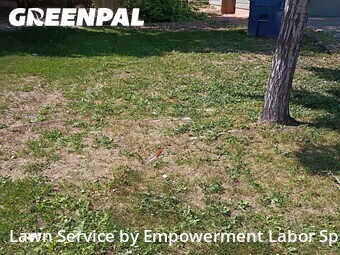 Lawn mowed in Erie, 80516