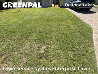 Turf Services in Deltona, 32725, Weekly Mowing by Rios Enterprise Lawn, work completed in Nov , 2025