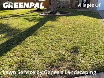 Yard Mowing nearby Katy, TX, 