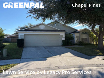 Grass Cut nearby Wesley Chapel, FL, 