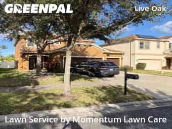 Grass Cut nearby Tampa, FL, 