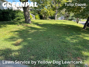 Lawn Cut nearby Nashville, TN, 