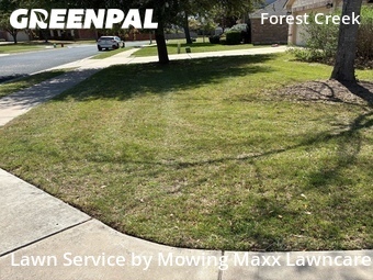 Grass Cutting nearby Round Rock, TX, 