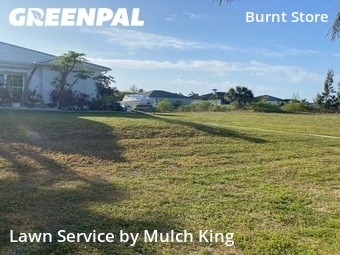 Lawn Cutting nearby Cape Coral, FL, 