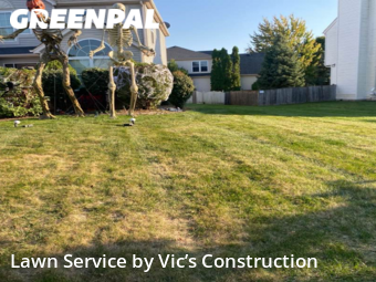 Lawn Mowing Service nearby Romeoville, IL, 