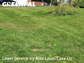 Lawn Mow nearby Indianapolis, IN, 