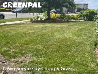 Lawn Mowing Service nearby Palisades Park, NJ, 