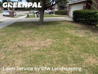 Lawn Mowin Frisco,75036,Lawn Service by Dfw Landscaping , work completed in Jul , 2026