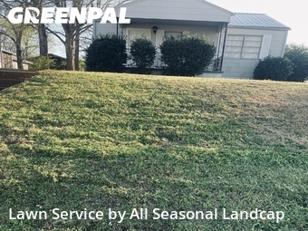 Lawn mowed in Bessemer, 35020