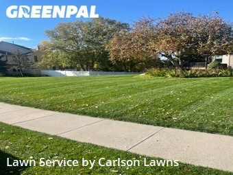 Lawn Cut nearby Omaha, NE, 
