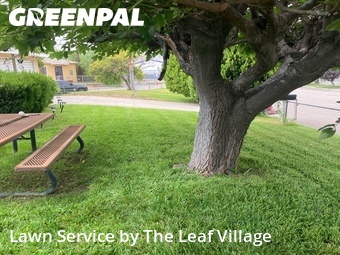 Lawn mowing work completed in Colton, CA