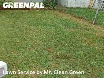 Lawn Mow nearby Dundalk, MD, 