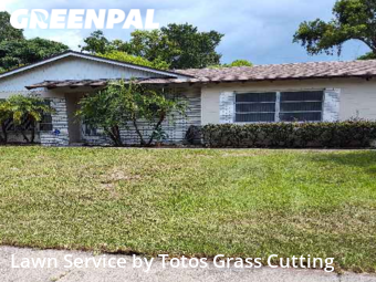 Yard Mowing nearby Orlando, FL, 