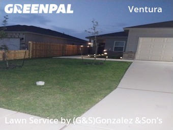 Lawn Cutting nearby San Antonio, TX, 