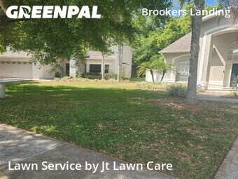 Lawn Cut nearby Palm Harbor, FL, 