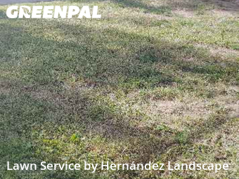 Lawn Care nearby Ridley Park, PA, 