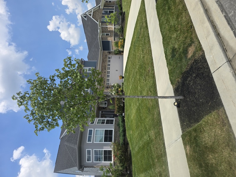 Work Image 5