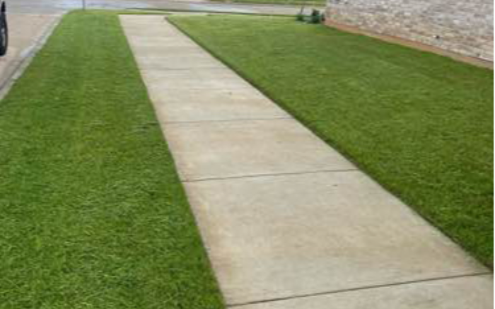 Work Image 1