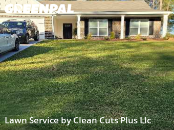 Grass Cutting nearby Statham, GA, 